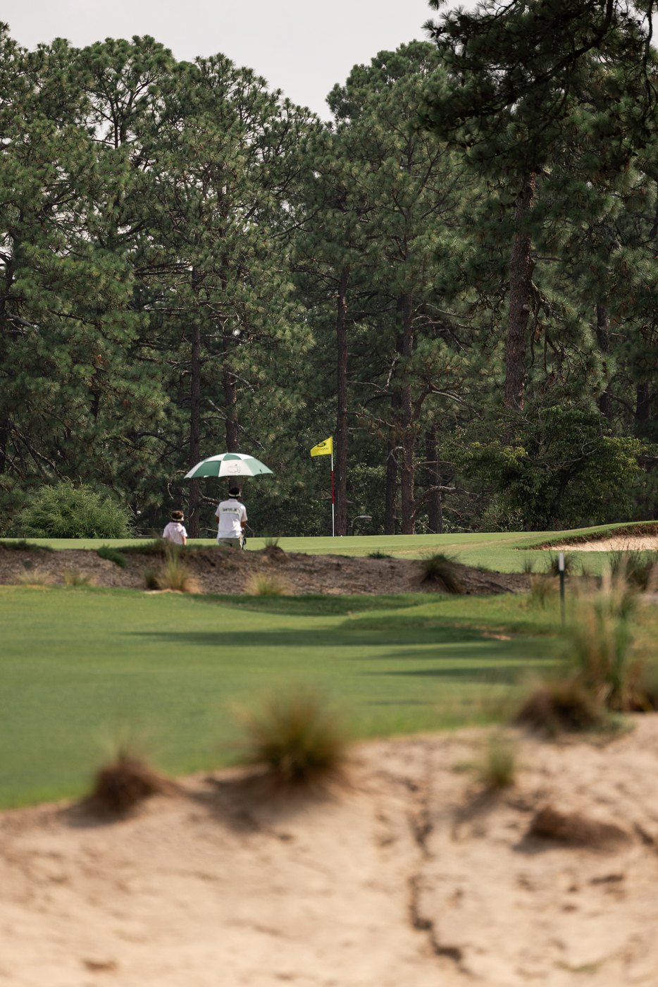 Green guarded by sandy waste and wiregrass, a flag and an umbrella in the distance