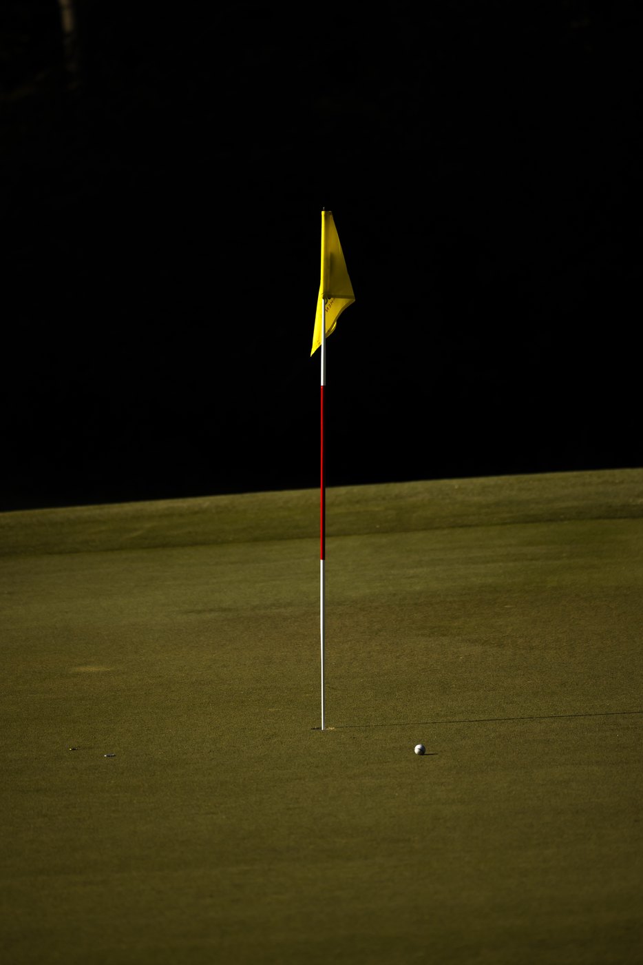 Yellow flagstick and a ball resting beside the hole on a green in deep shade