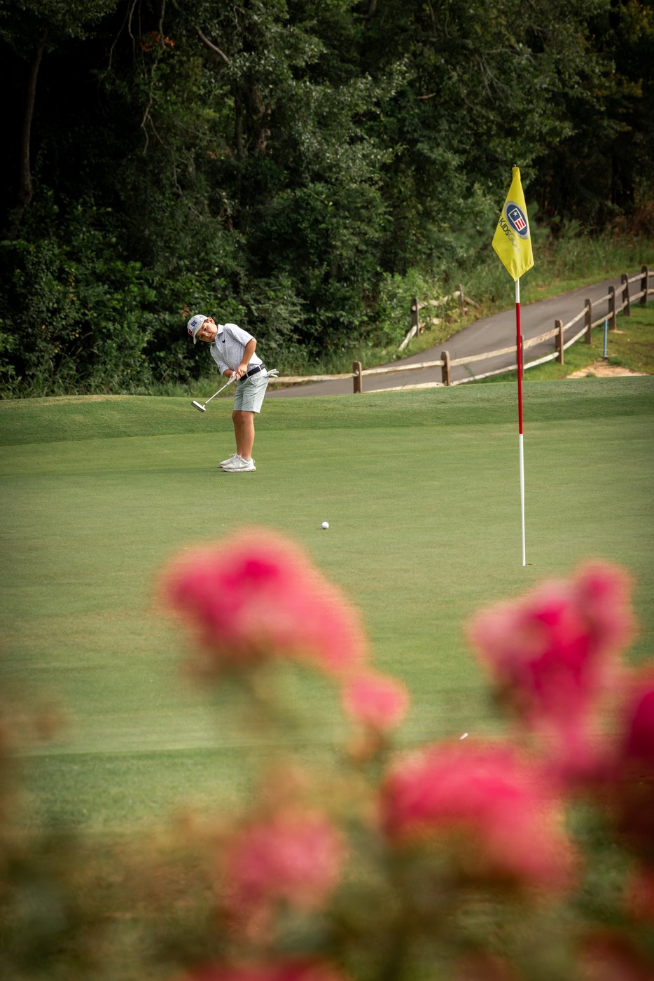 Junior golfer putting, seen past pink flowers thrown out of focus in the foreground